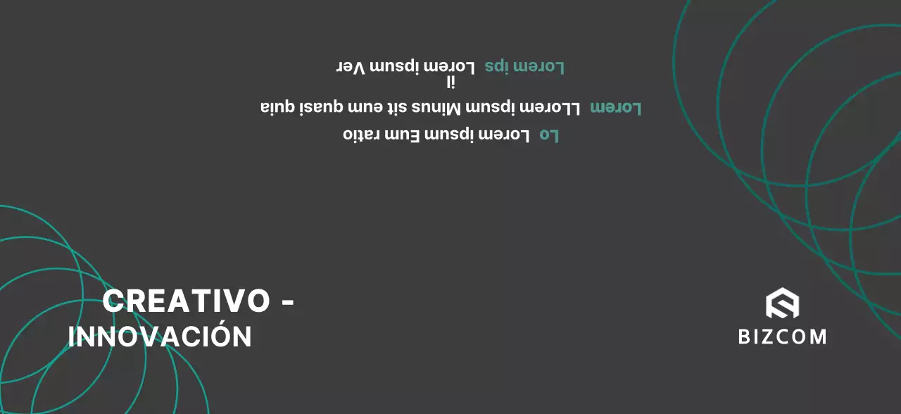 Bizcom sencillo en negro y gris para promocionar su empresa