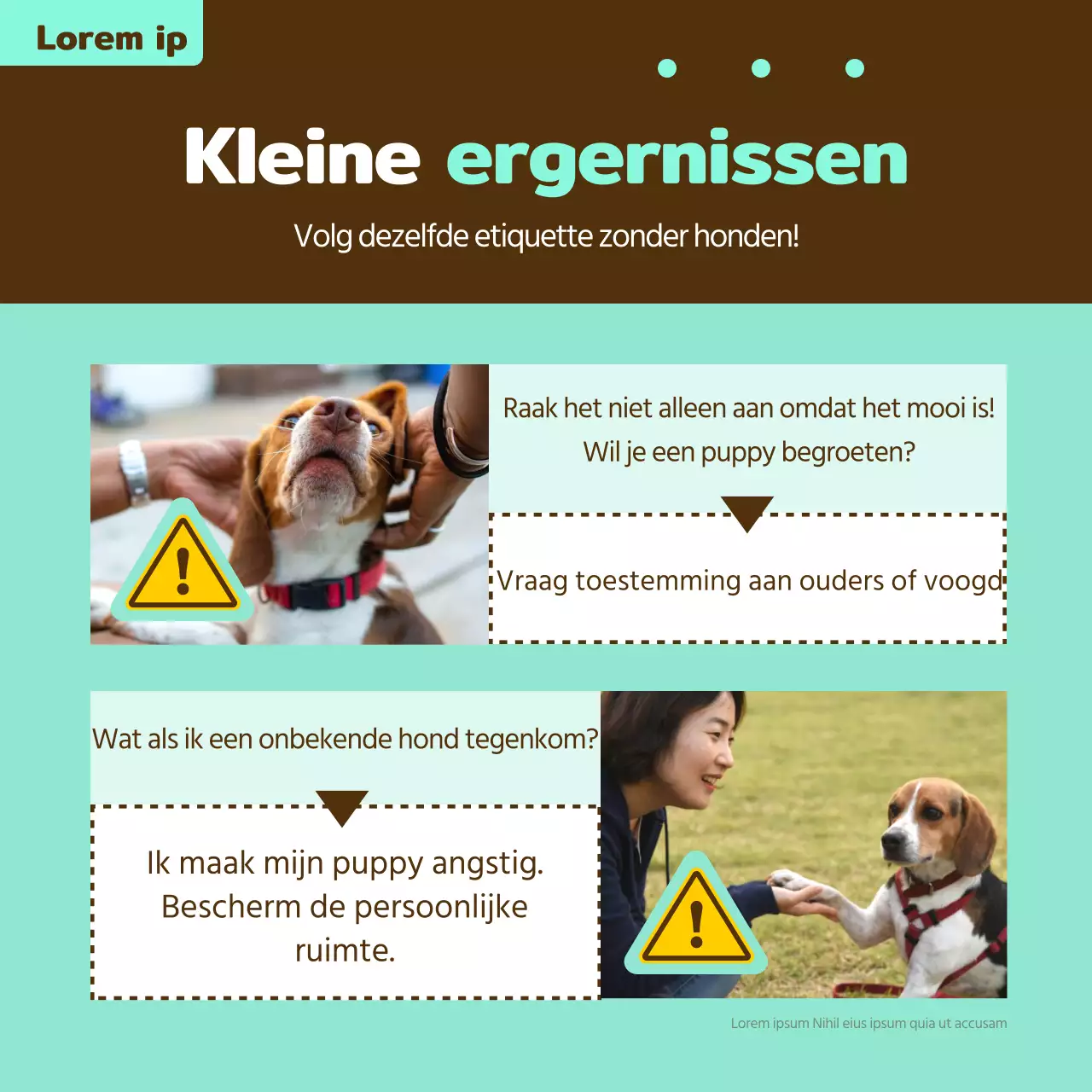 Informatiesticket voor huisdieren in geel en brons