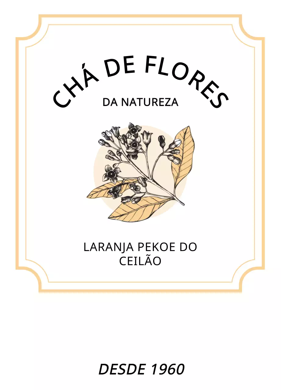 Luxuosas saquetas de chá com ilustrações de plantas e bagas em tons pastel de laranja e verde