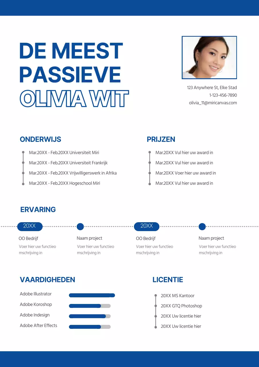 Eenvoudig cv in blauw en wit