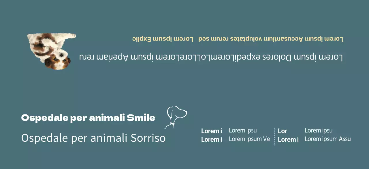 Concetto di orario della clinica veterinaria turchese