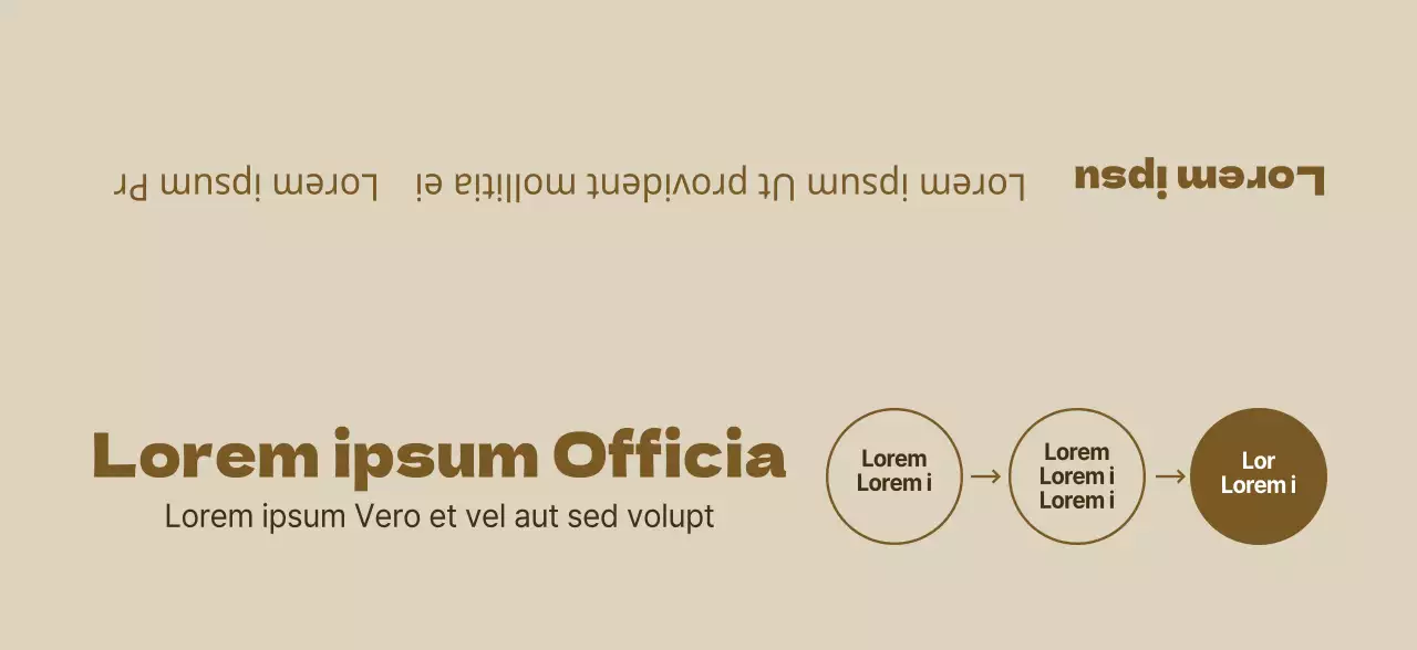 Informations sur les écoles spécialisées dans les examens d'entrée à l'université de couleur marron