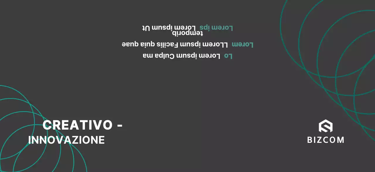 Bizcom semplice in nero e grigio per promuovere la vostra azienda