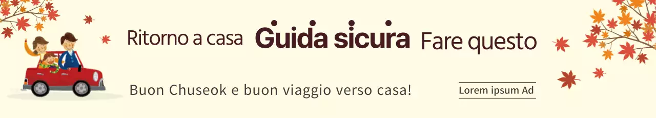 Guidare a casa in sicurezza