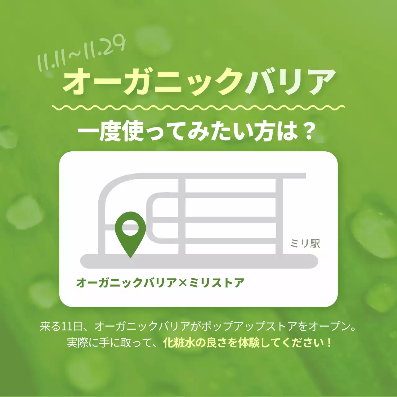 緑 オーガニック 化粧品 プラン Instagram カルーセル