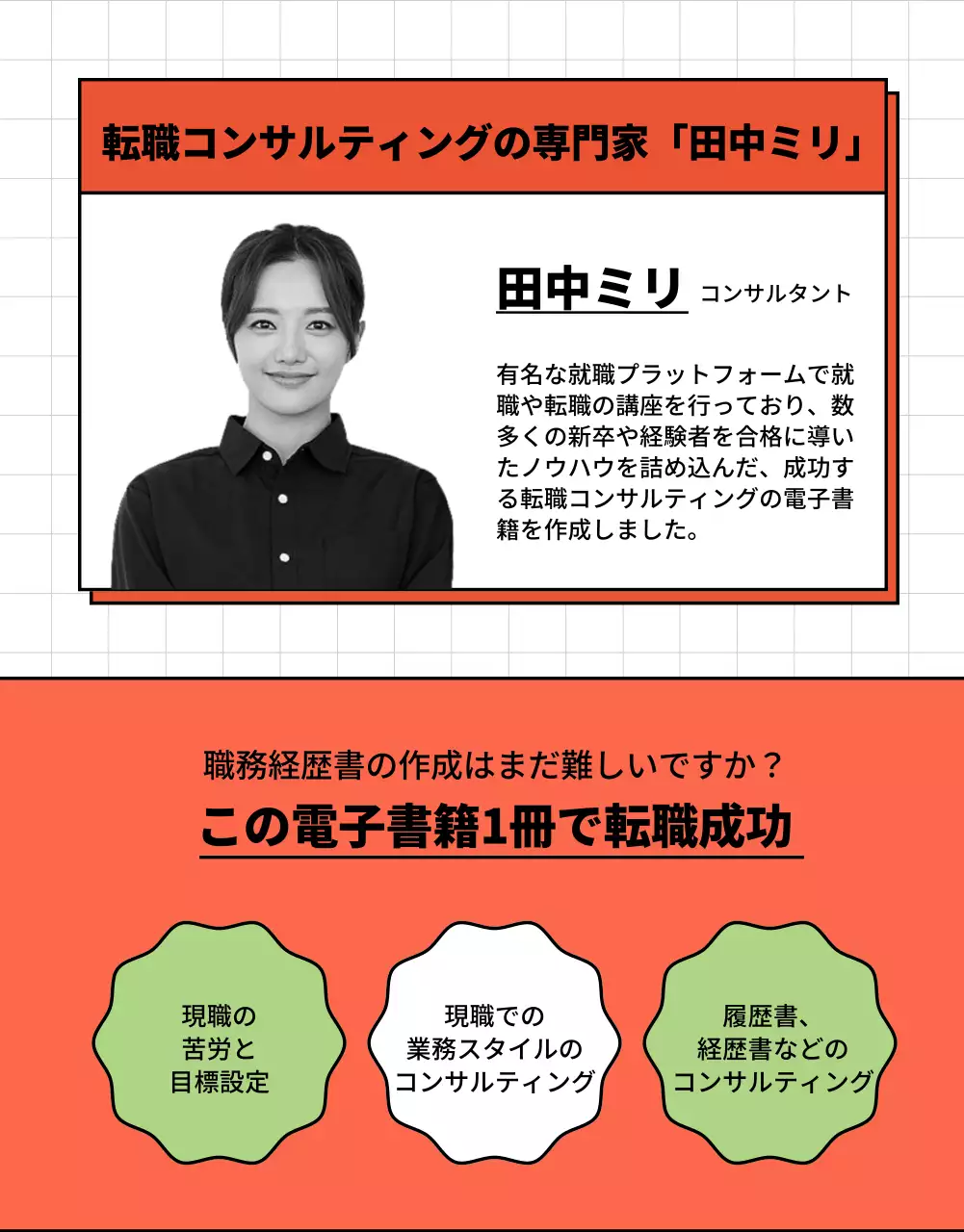 赤と白のシンプルな電子書籍コンセプトのキャリア記述書コンサルティング専門家の広報