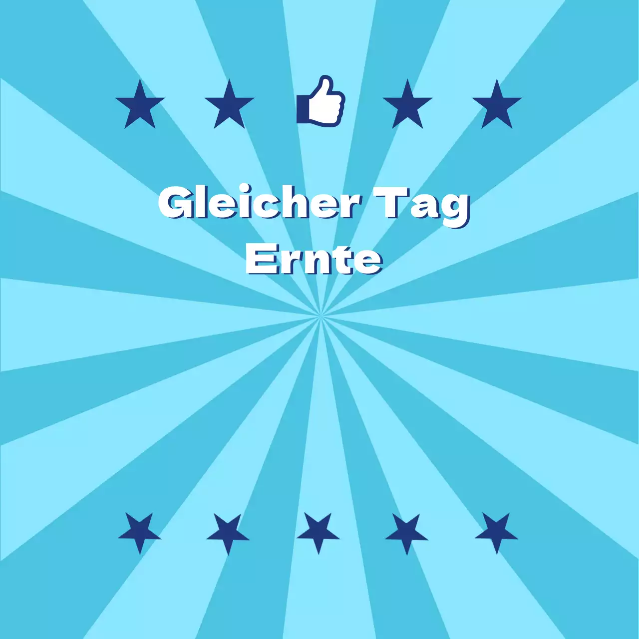 Erzeugnis_Tagesernte