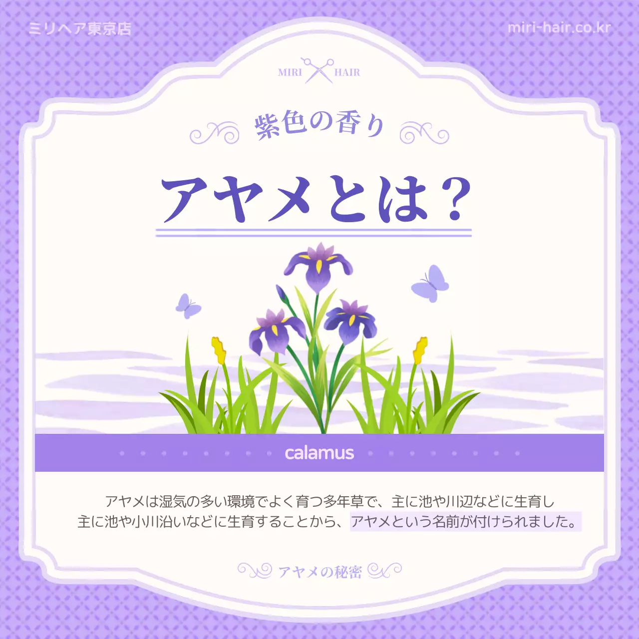 紫 上品 髪のケア ポスター Instagram カルーセル