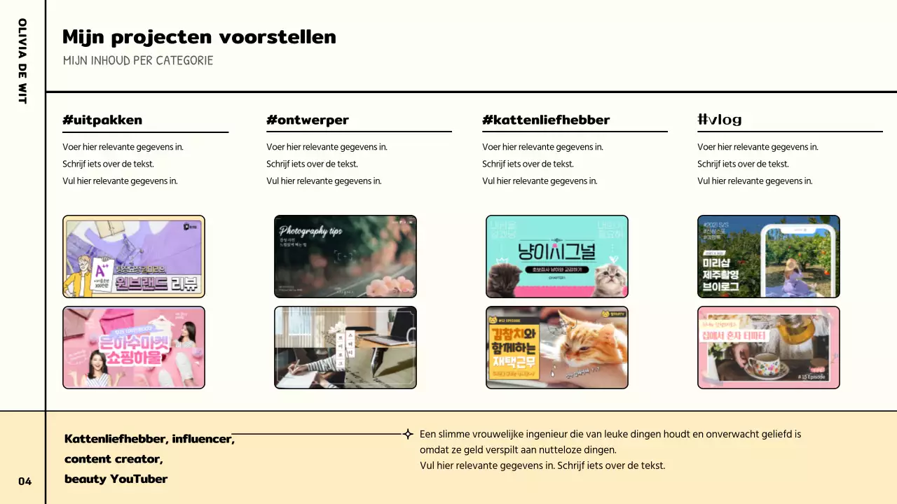Een schattig en kleurrijk info-chart YouTuber samenwerkingsvoorstel in roze, groen en pastel.