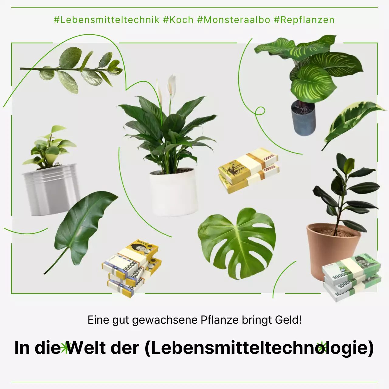 Ein nüchterner Leitfaden für Lebensmitteltechnologie mit einer grünen Kurve
