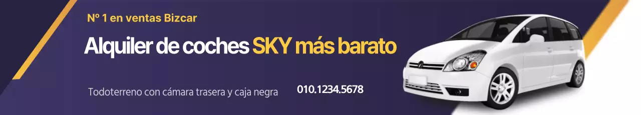Alquiler de coches_Karo Banner