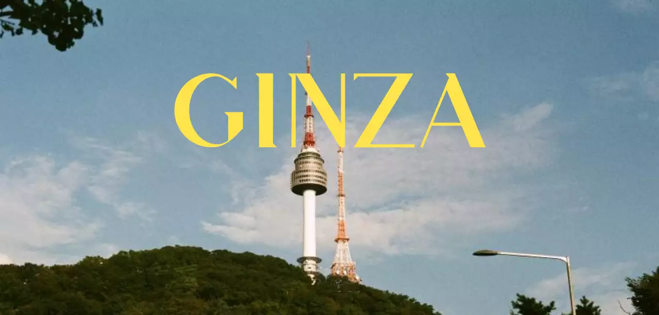 Copertine eleganti con una grande fotografia