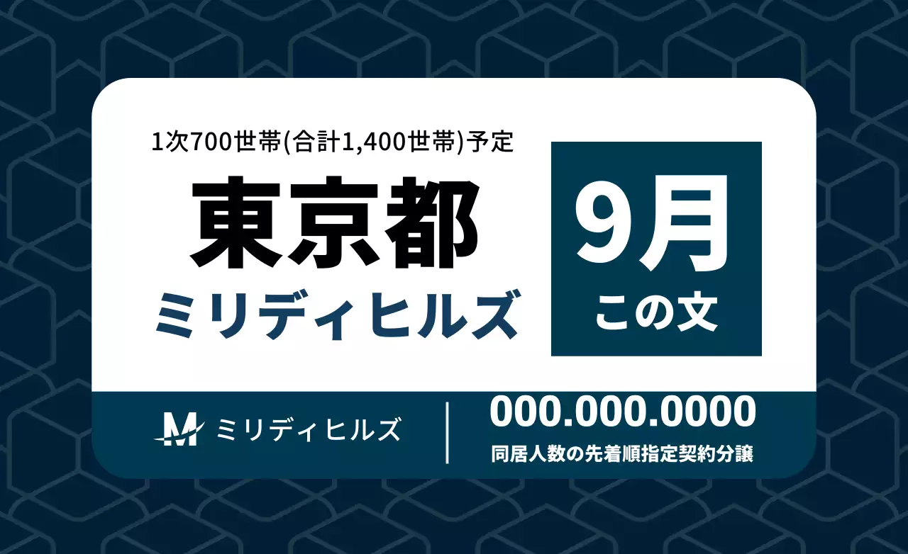 藍色のカラフルな柄の不動産分譲広報