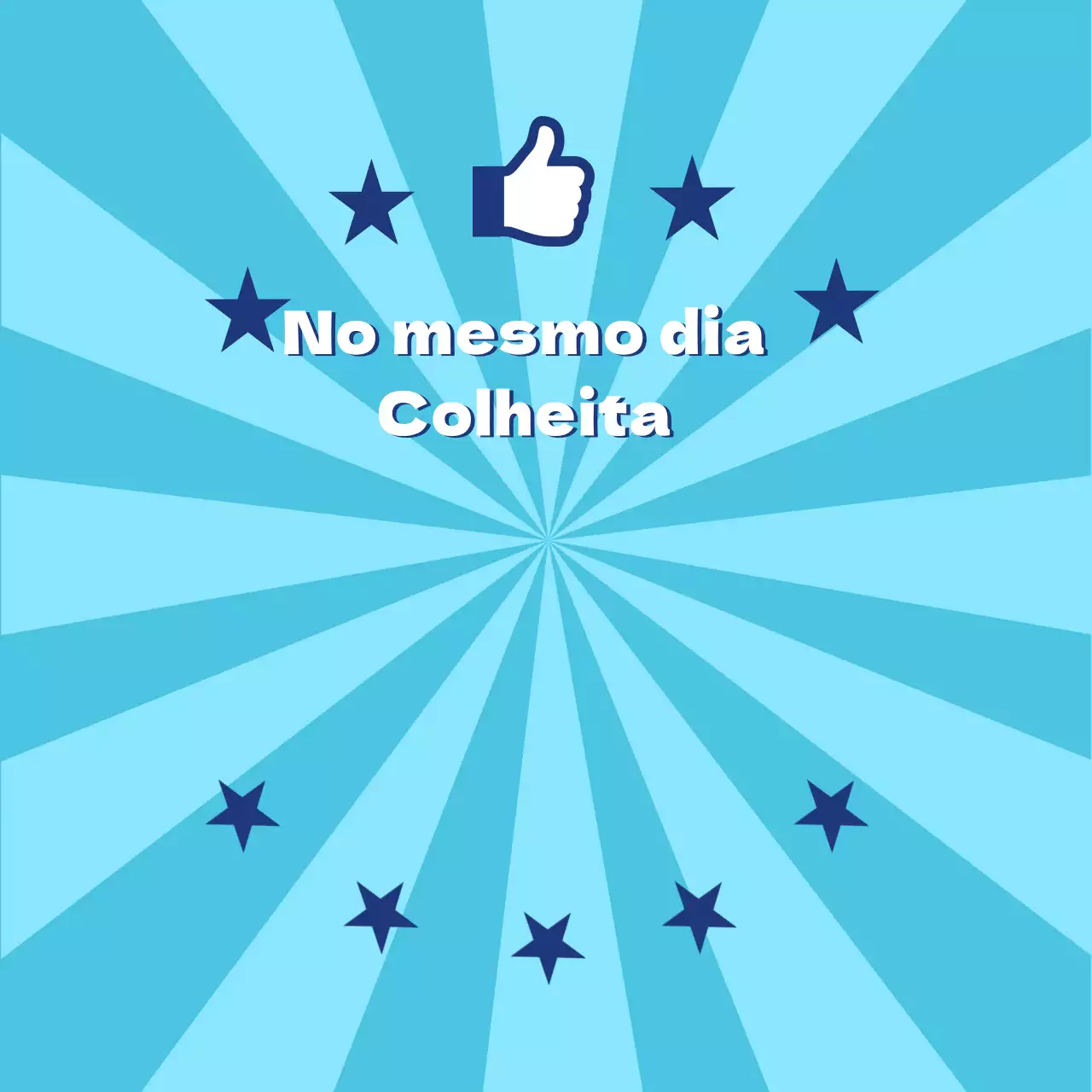 Recolha no mesmo dia