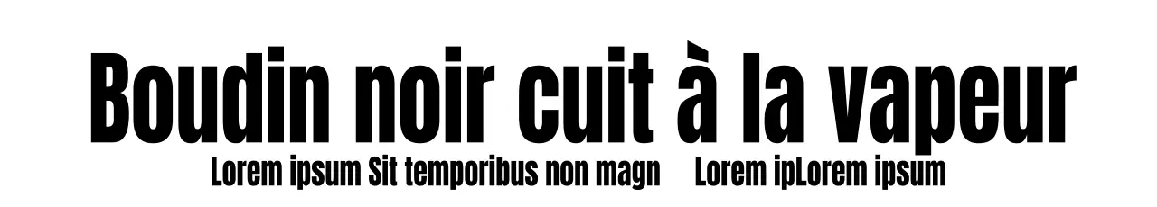Bannière Zinida_Garo