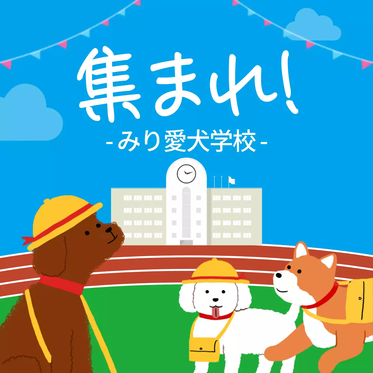 緑 楽しい 愛犬学校 お知らせ Instagram投稿