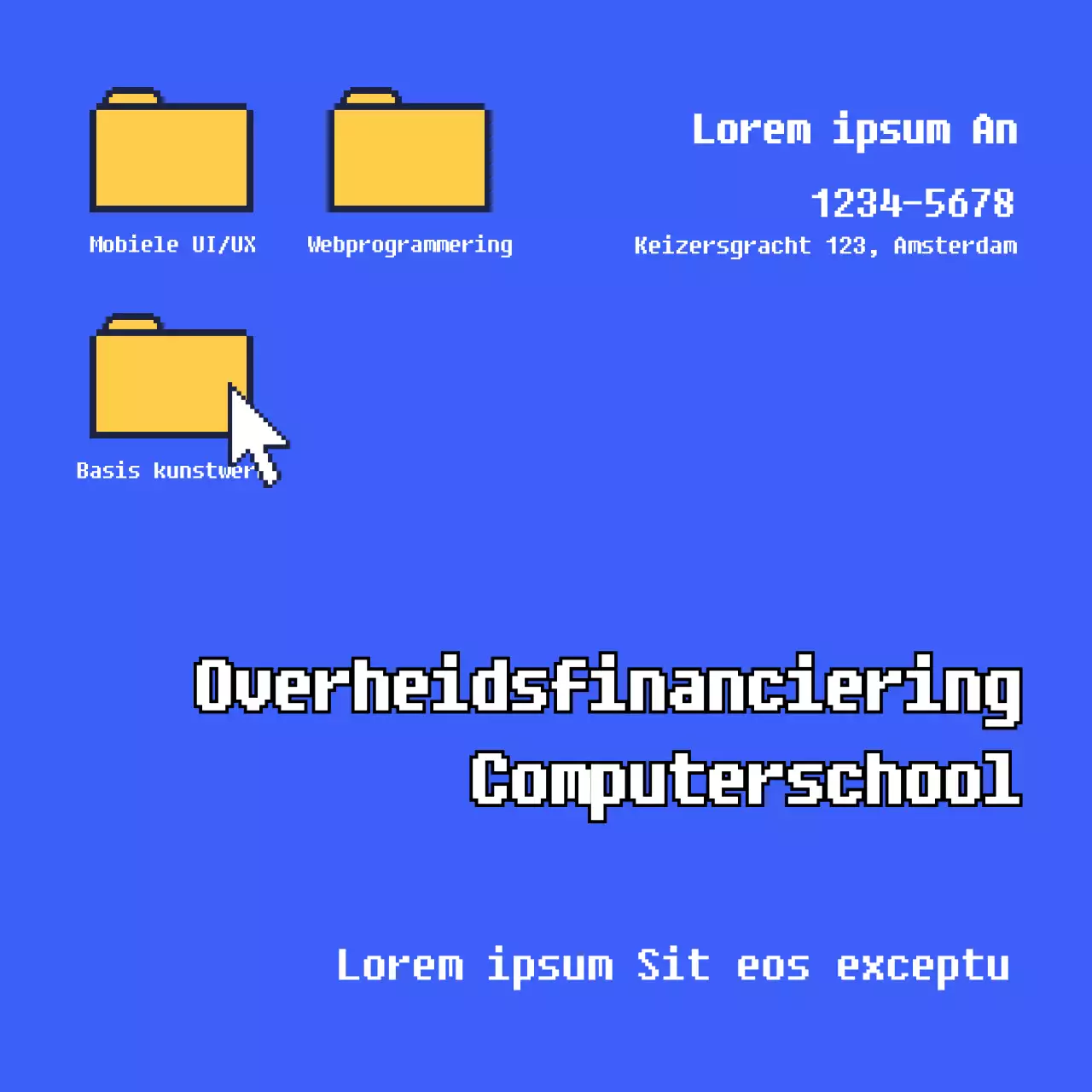 Door de staat gefinancierde computerinstituten