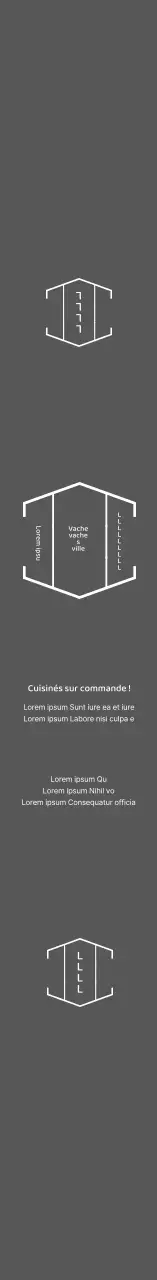 Boîte à bento japonaise simple grise