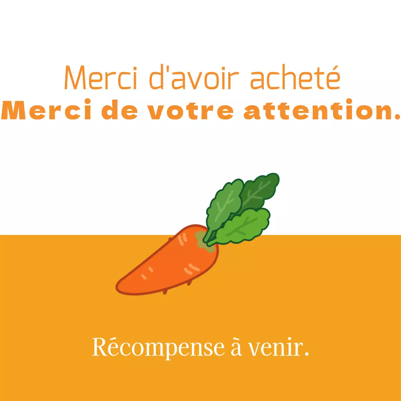 Audits d'expédition