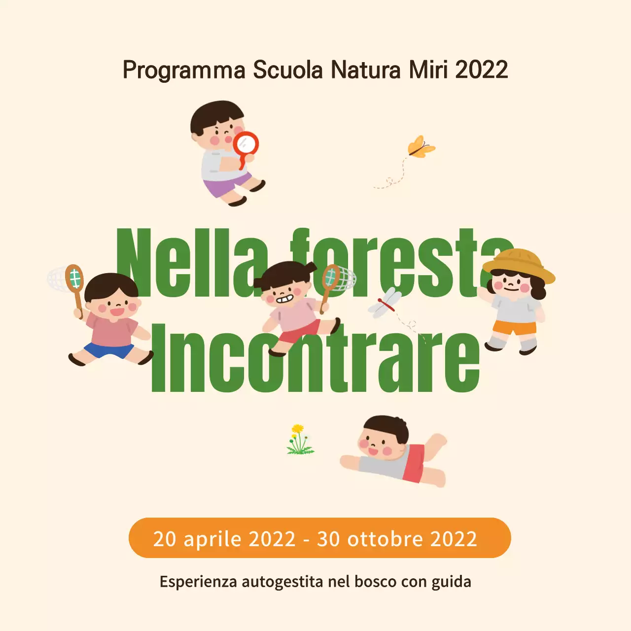 Cute Forest Experience Social media