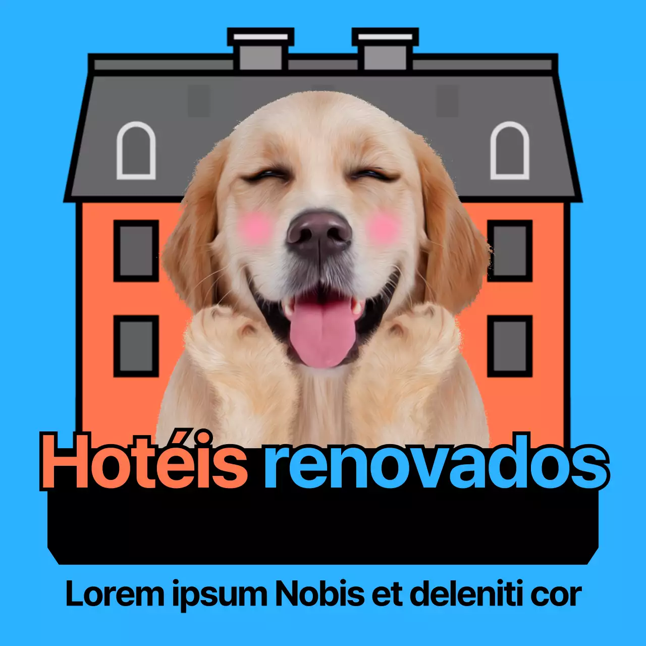 Hotéis para cães