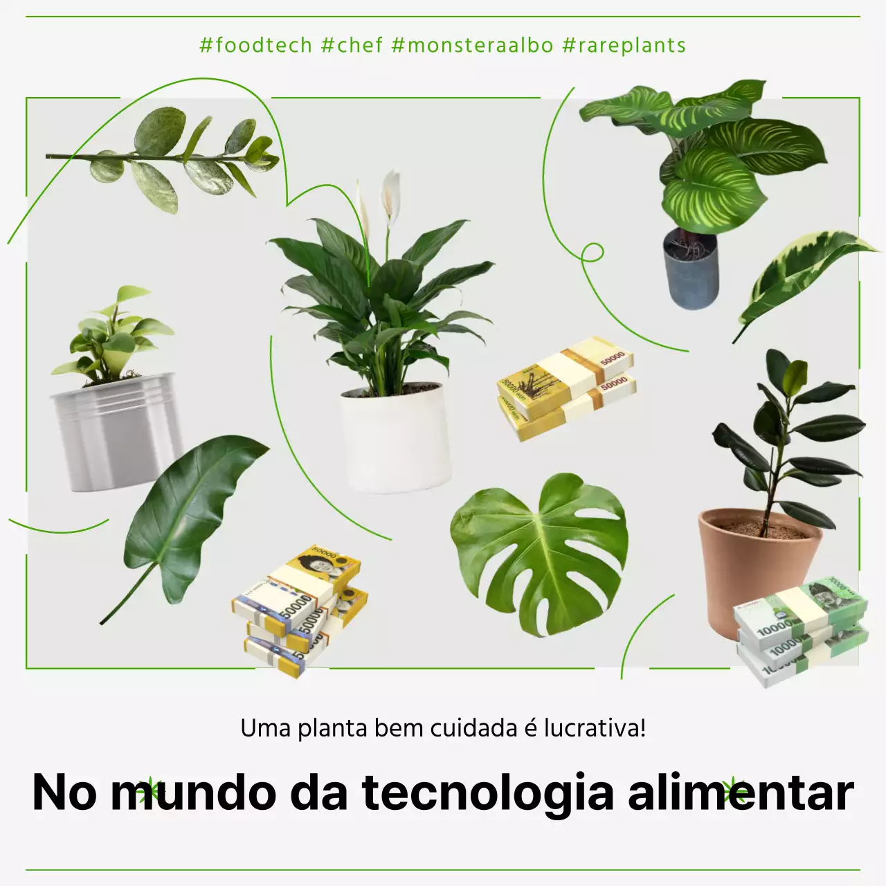 Um guia prático para a tecnologia alimentar com uma curva verde