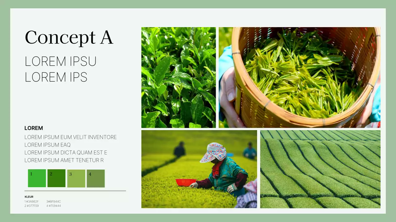 Cosmeticapresentatiebord met groen natuurthema