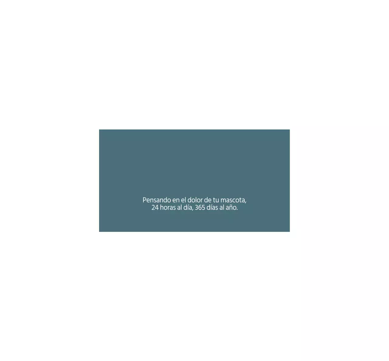 Concepto de horario de clínica veterinaria turquesa