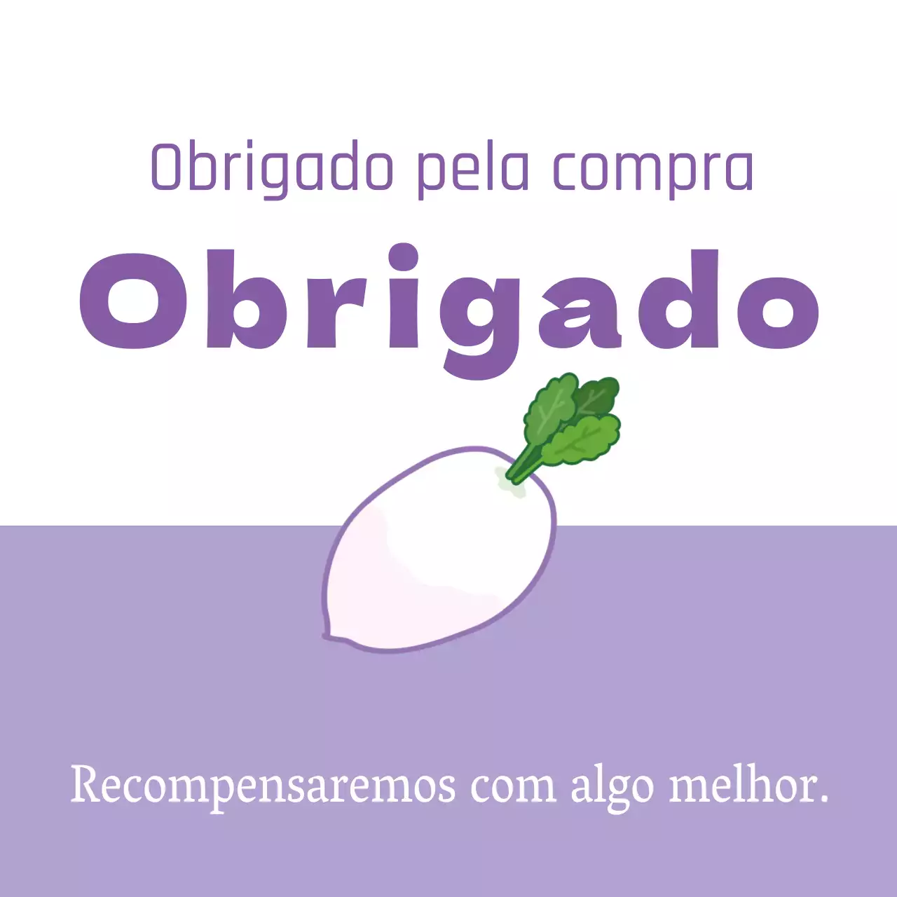 Auditoria de expedição