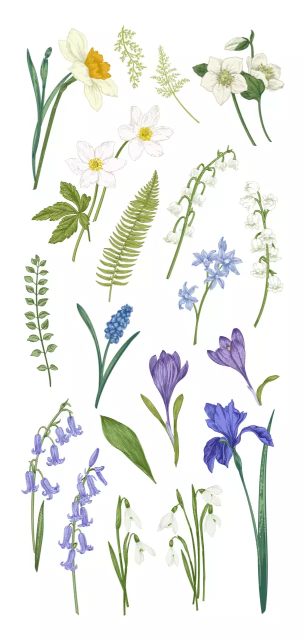 情緒的な水彩画をコンセプトにした花と草の葉っぱのイラスト