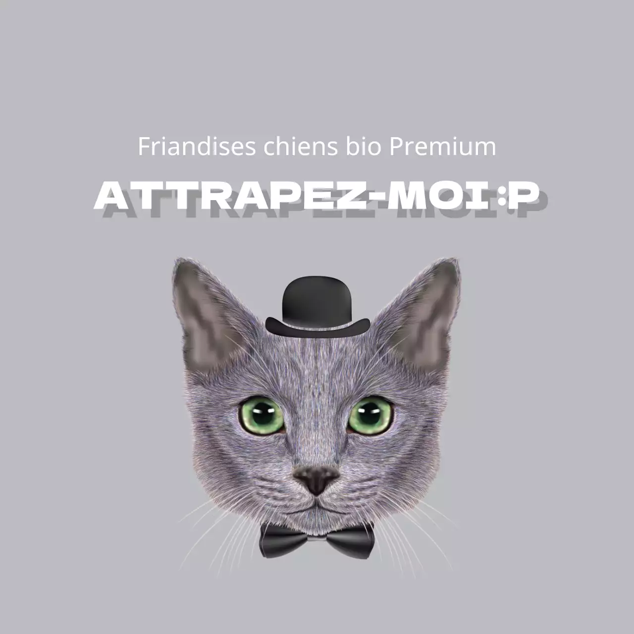 Friandises pour chiens Premium Organic