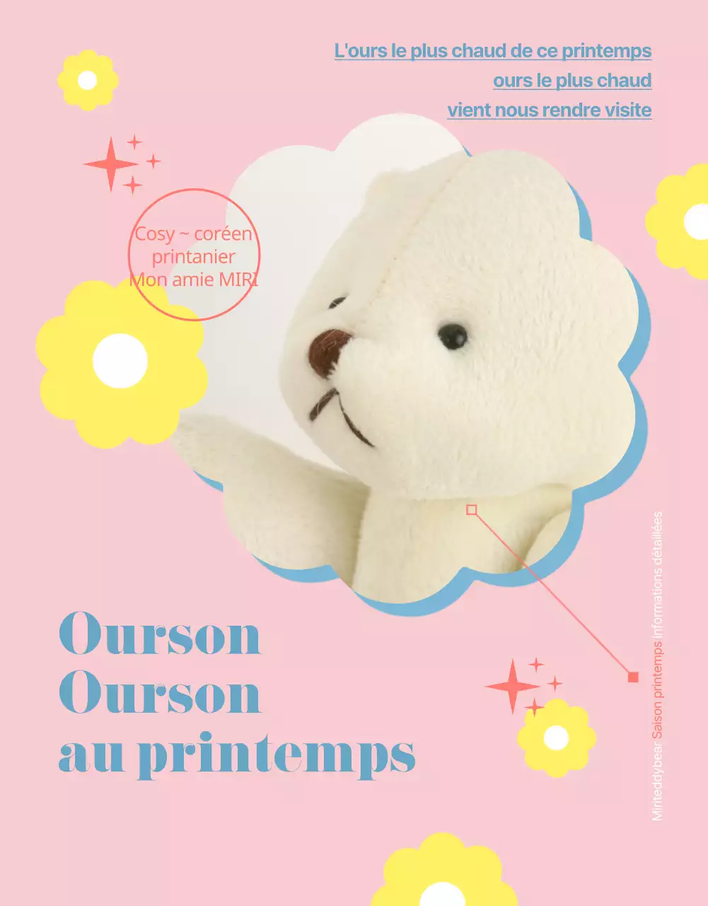 Une proposition de financement pour une poupée en peluche rose et bleu clair