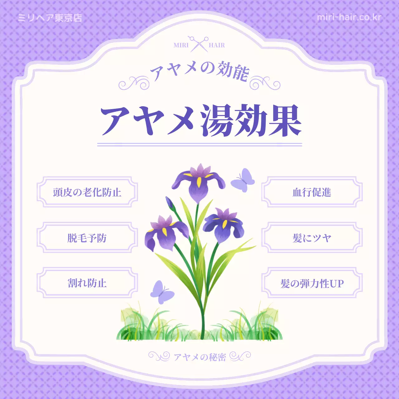 紫 上品 髪のケア ポスター Instagram カルーセル