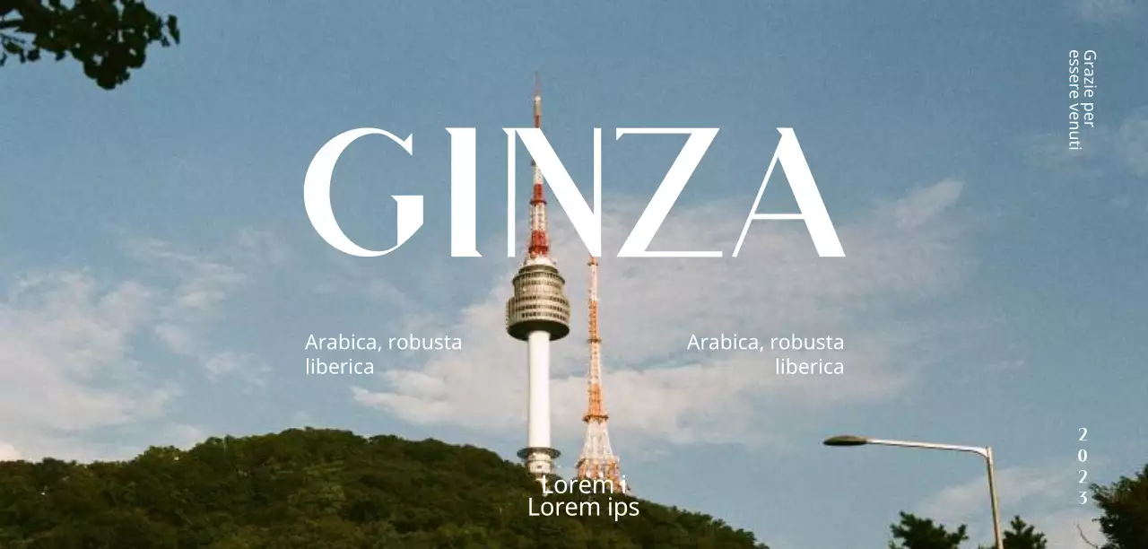 Copertine eleganti con una grande fotografia