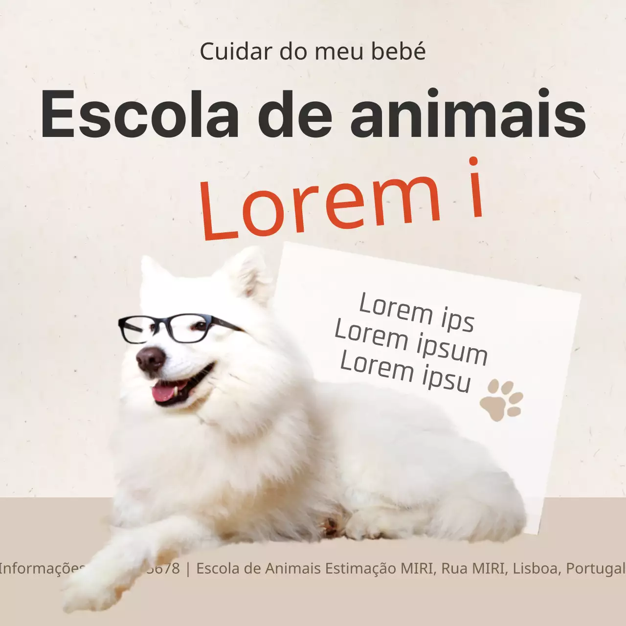 Escola para animais de estimação