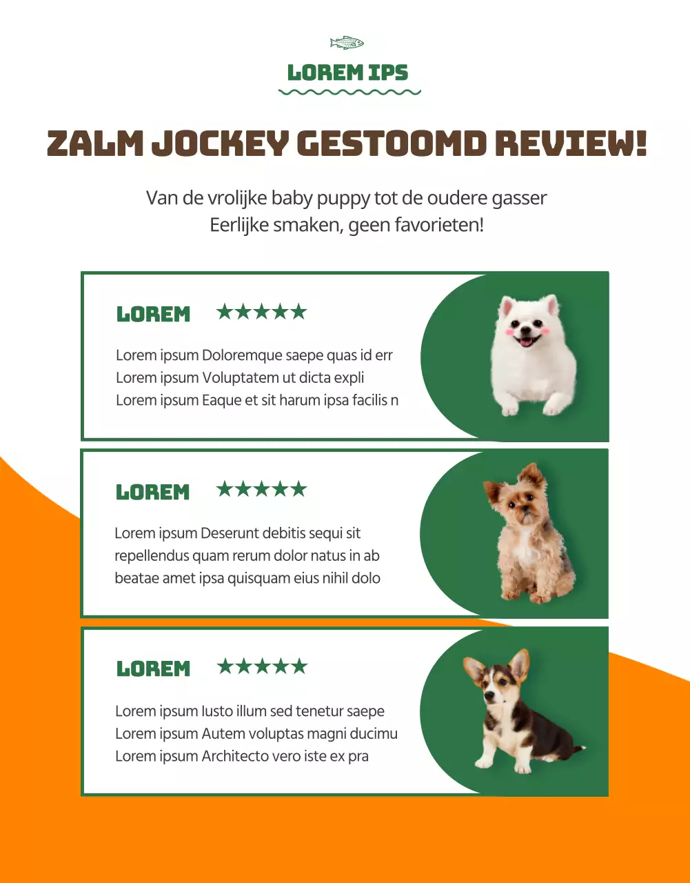 Over Orange Colour Points Premium Dierenvoeding (detail pagina)