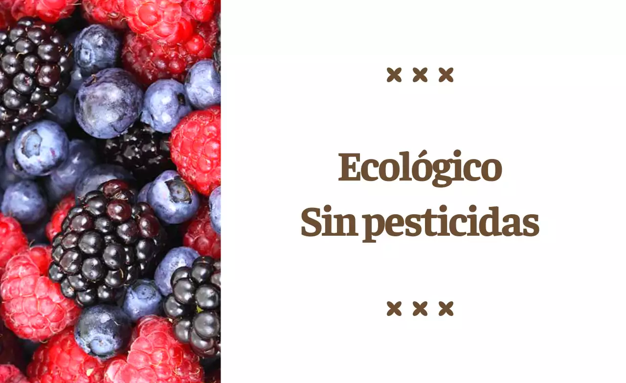 Promoción ecológica sencilla con texto en marrón e ilustraciones de imágenes