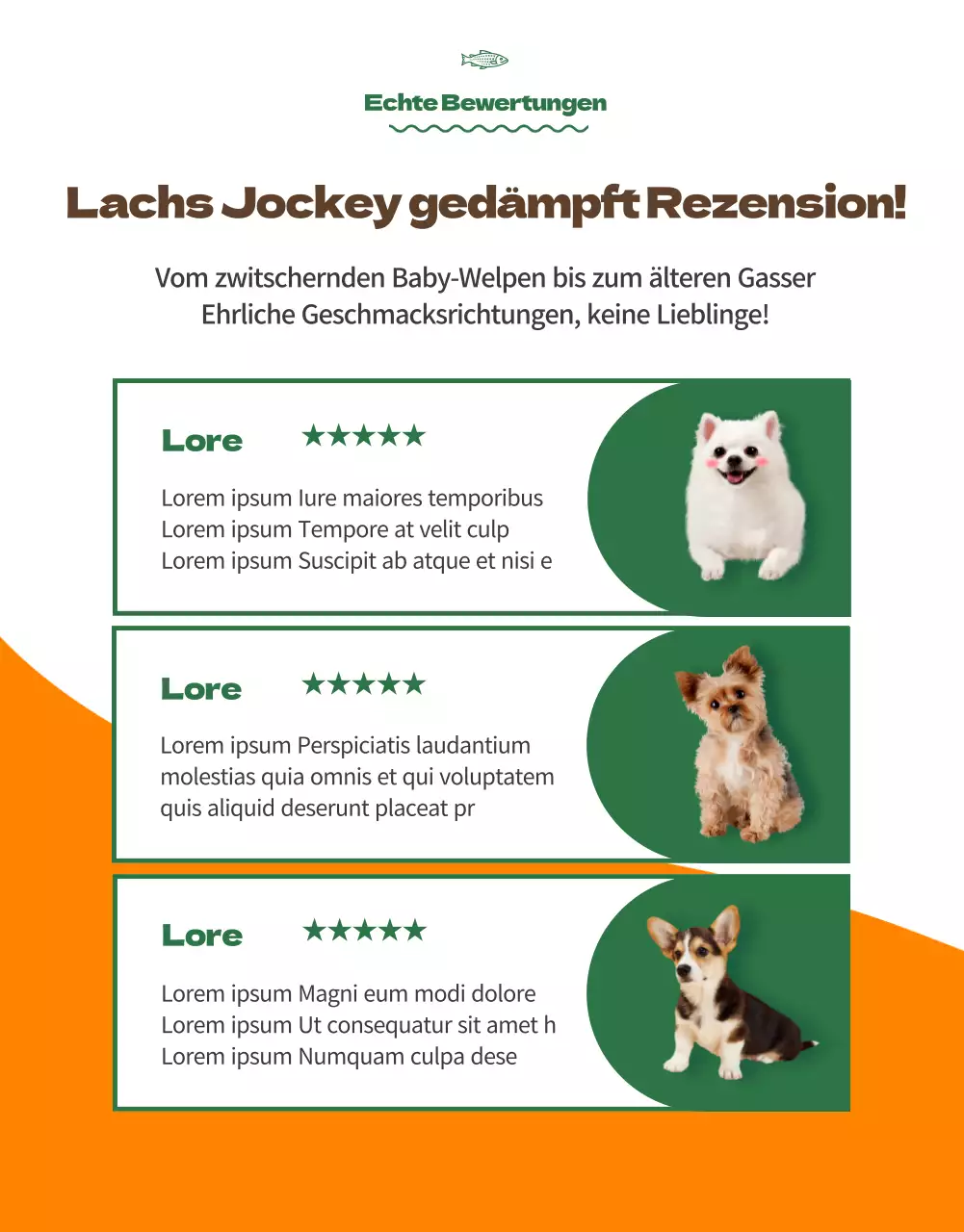 Über Orange Colour Points Premium-Tierfutter (Detailseite)