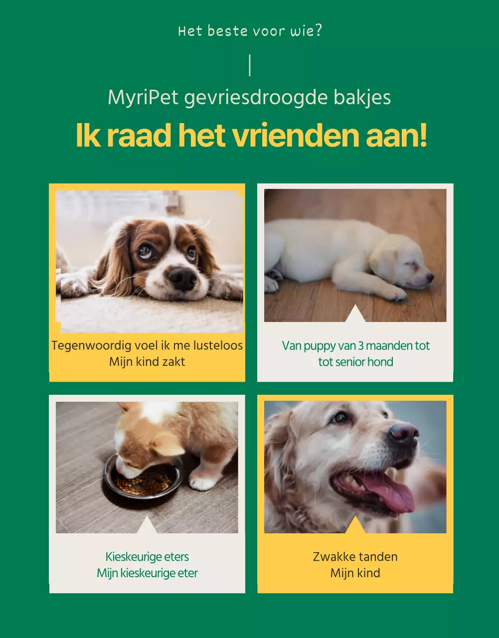 Schattige gele en groene traktaties voor huisdieren