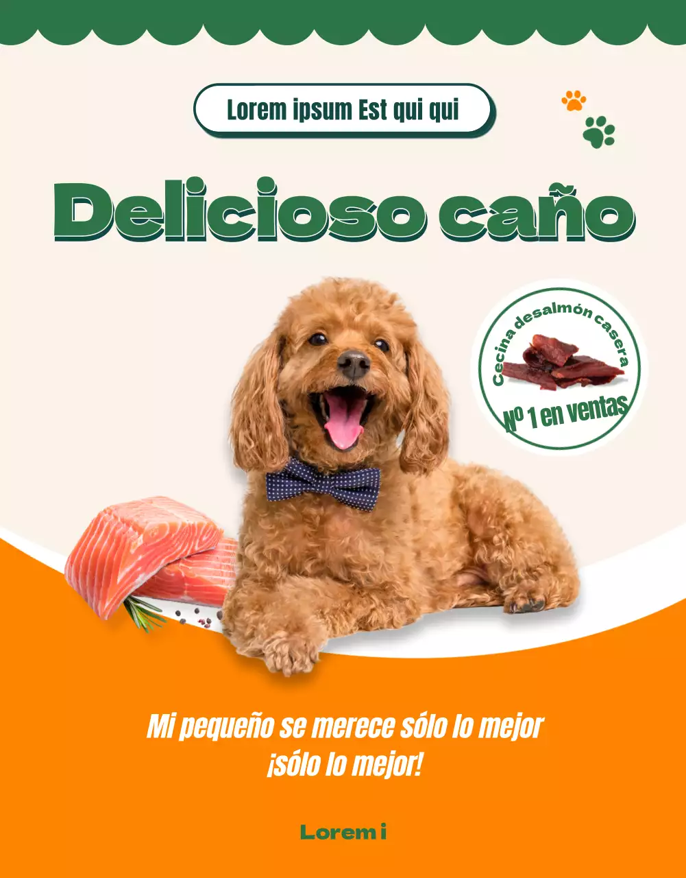 Acerca de la comida para mascotas Orange Colour Points Premium (página detallada)