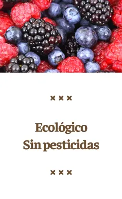 Promoción ecológica sencilla con texto en marrón e ilustraciones de imágenes