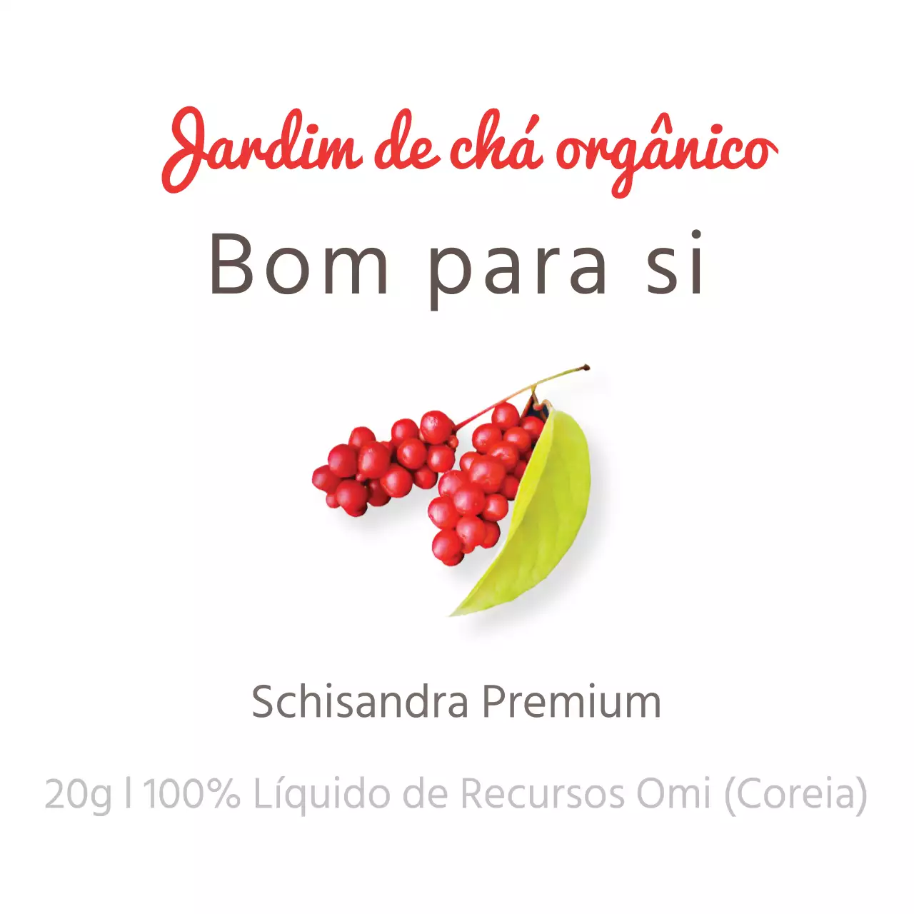 Autocolante Schisandra simples vermelha