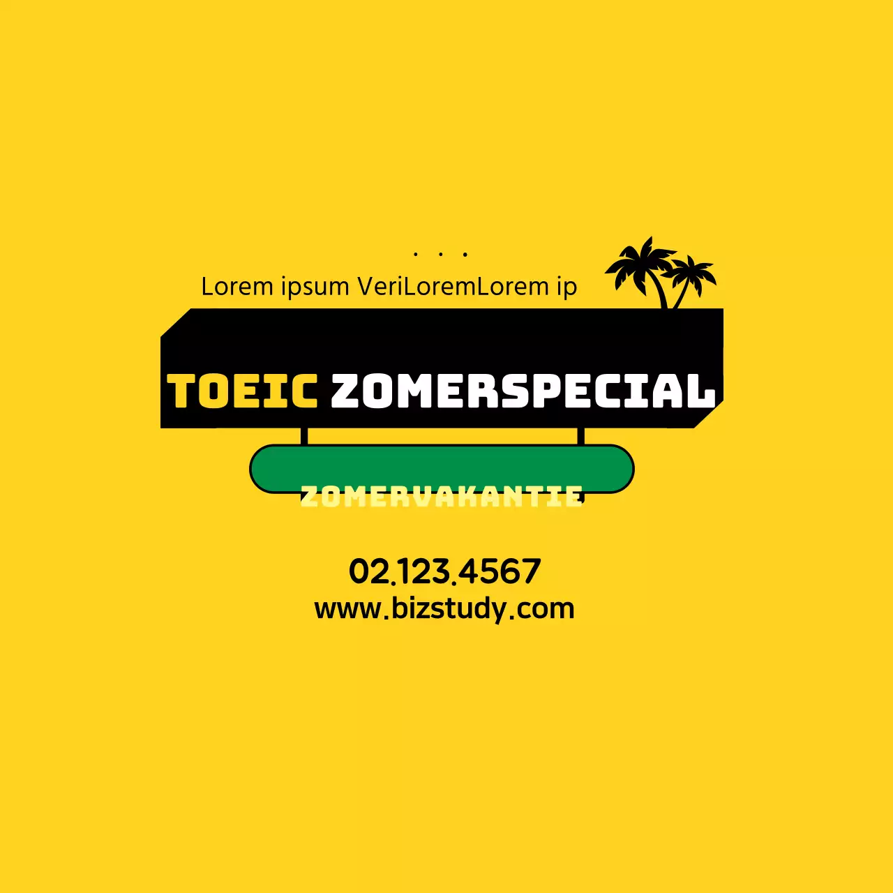TOEIC zomerprogramma