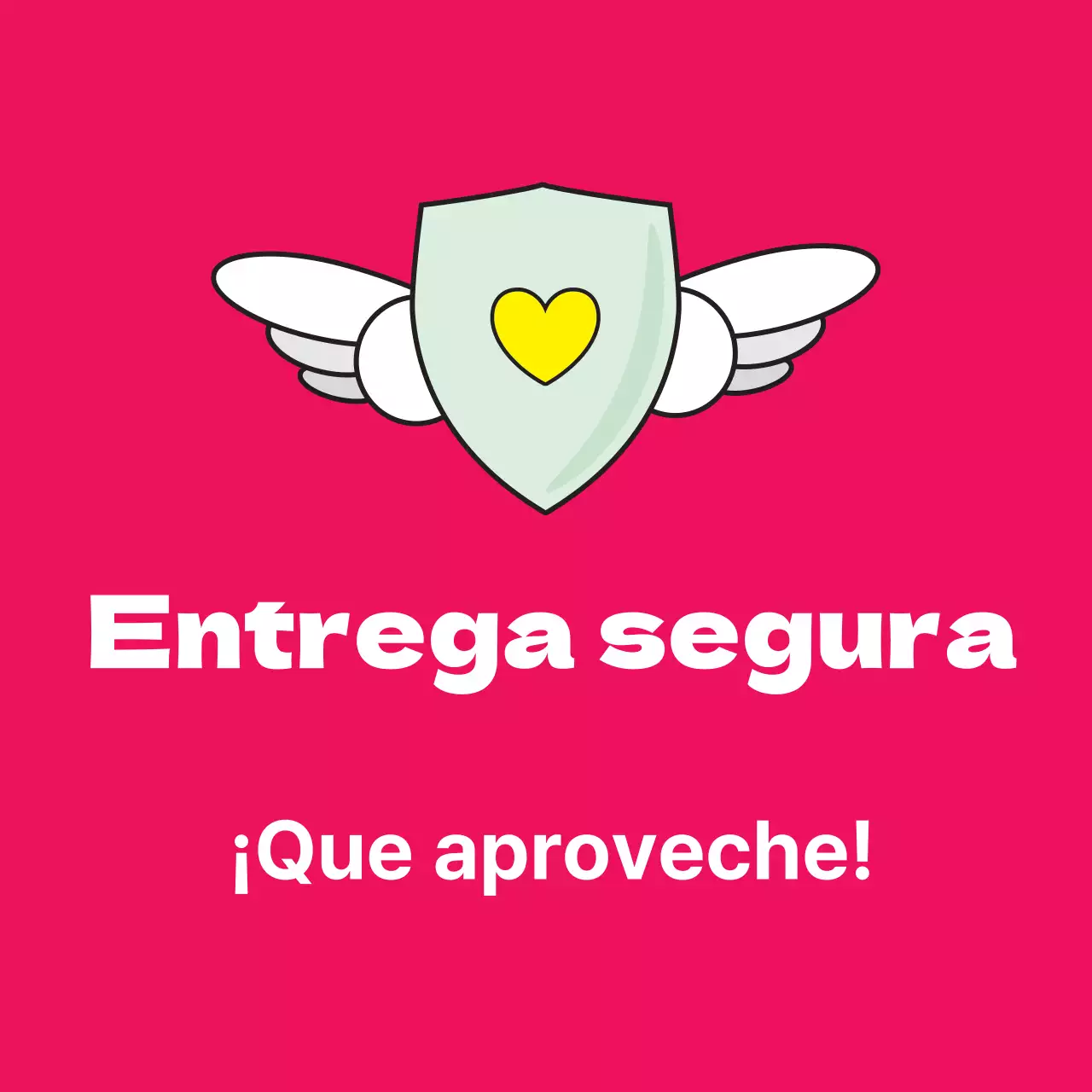 45226_Entrega segura