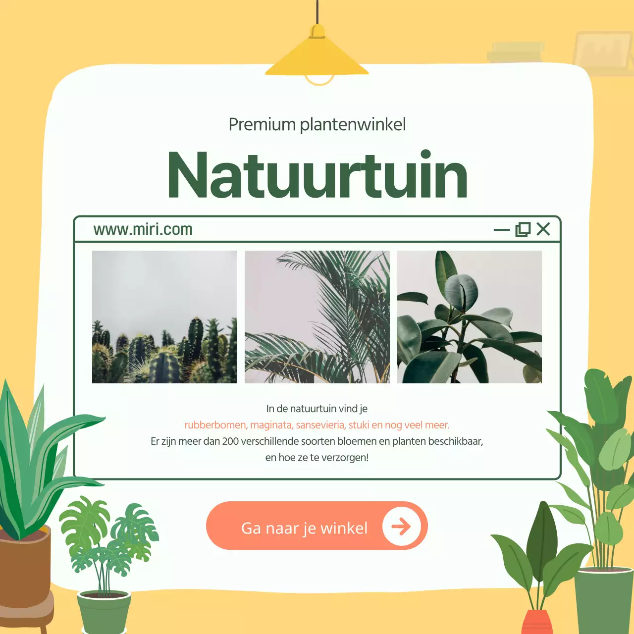 Kaart met aanbevelingen voor groene en gele huisdierenNieuws ontwerp