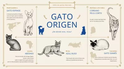 Proporcionar información sobre el gato clásico