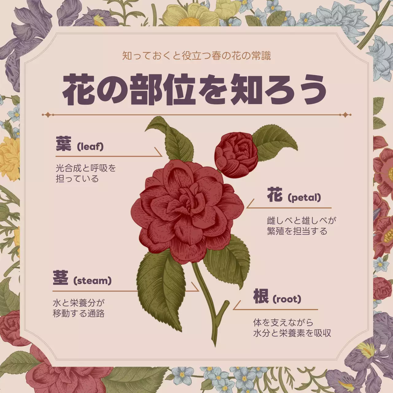 カラフル 上品 花 パンフレット Instagram カルーセル