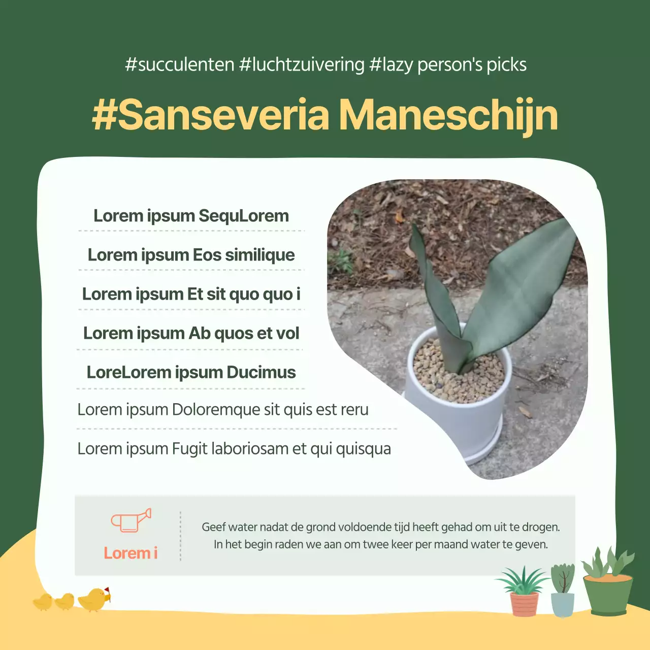 Kaart met aanbevelingen voor groene en gele huisdierenNieuws ontwerp