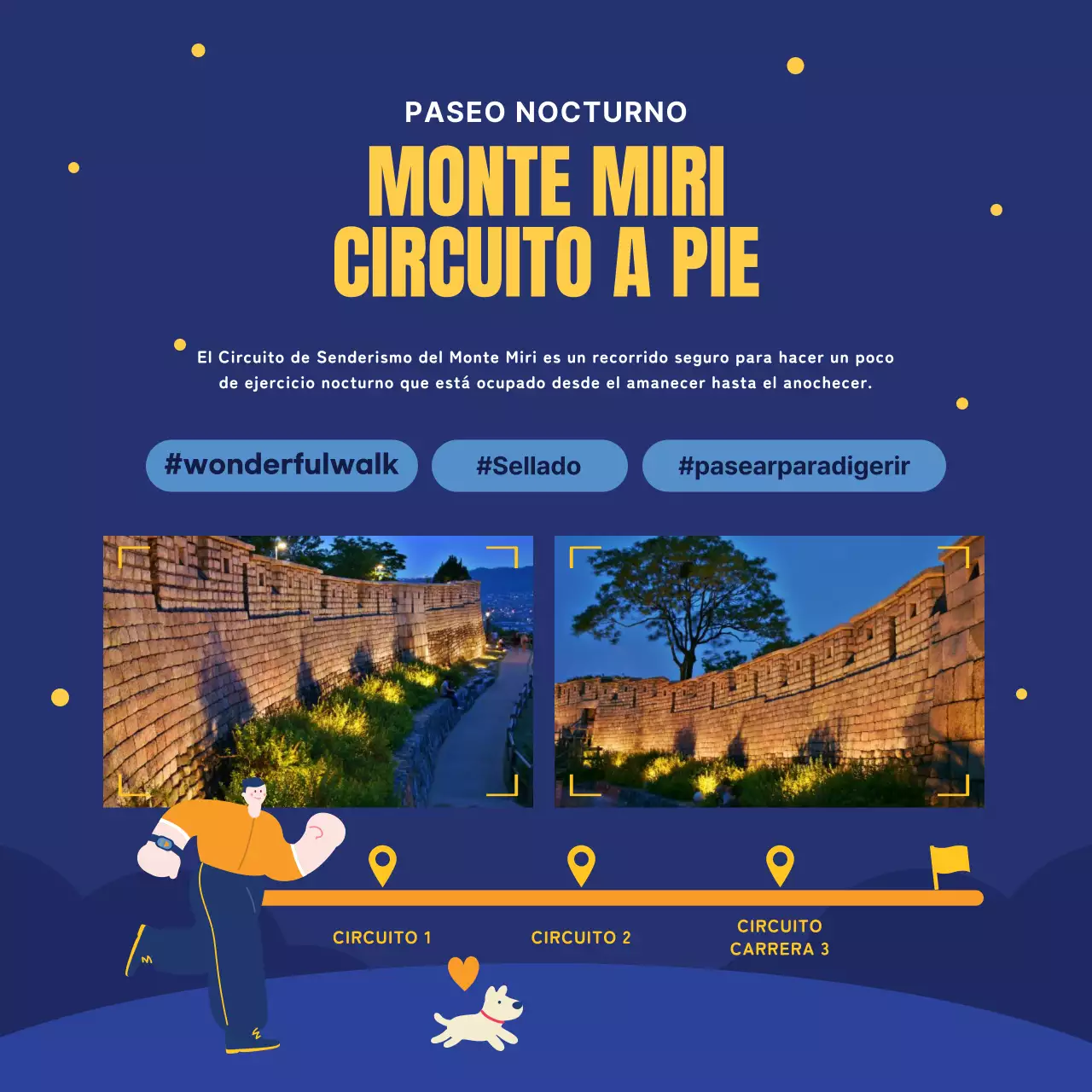 Guía de atracciones nocturnas azul marino y amarillo