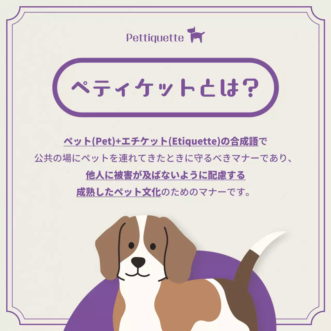 紫 かわいい ペット ポスター Instagram カルーセル